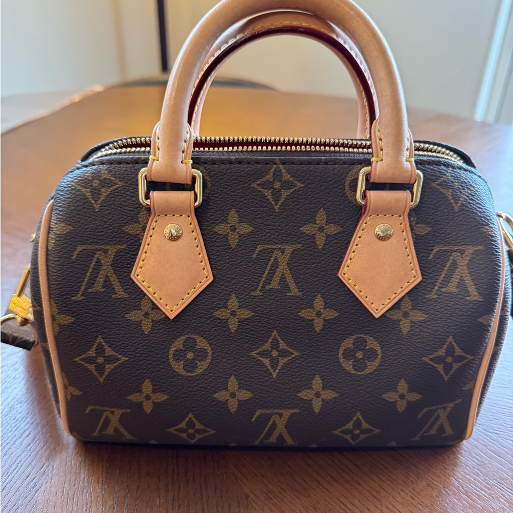 Louis Vuitton Brown Monogram Speedy 20 Bag